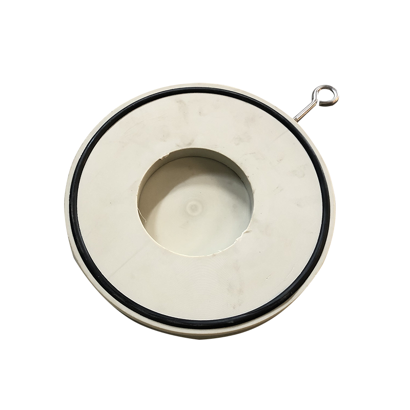 PPH闆式止回(hui)閥